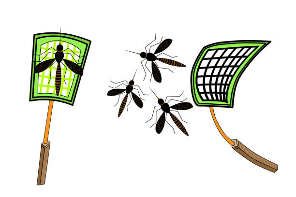 How to Win the Battle Against Mosquitoes and Reclaim Your Comfort